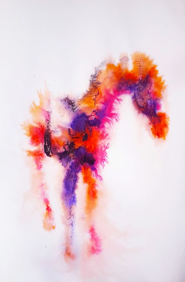Sea Horse-marija colic