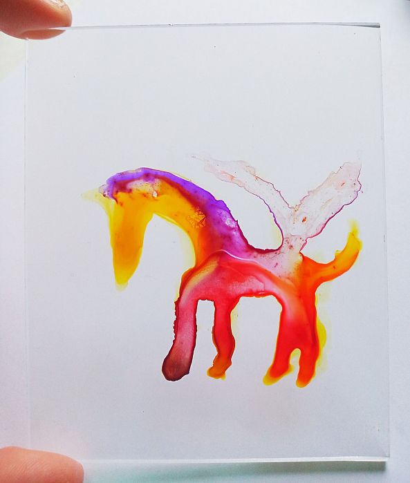 Baby Pegasus Fairy Horse-marija colic