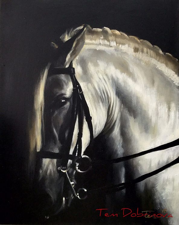 Portrait of the white horse-Tem Dobrinova