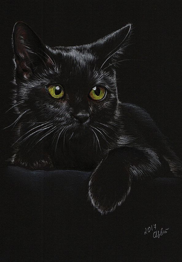 Black Cat-Olga Tsvetkova