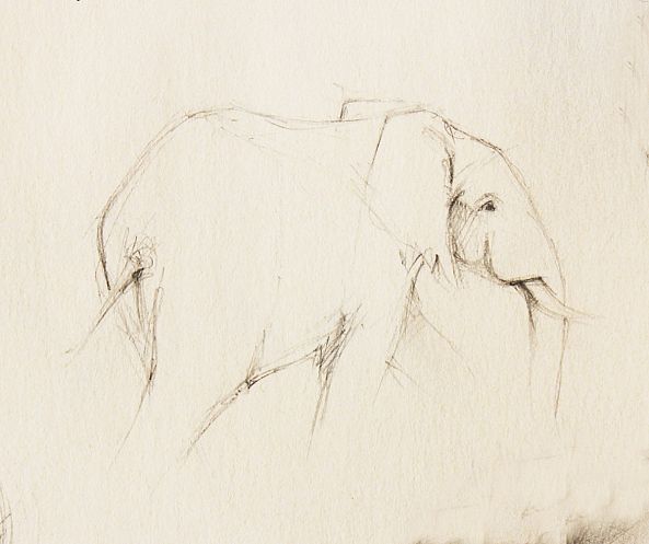 Eléphant marchant dans la savane - Walking elephant in savannah-Jean Bessat