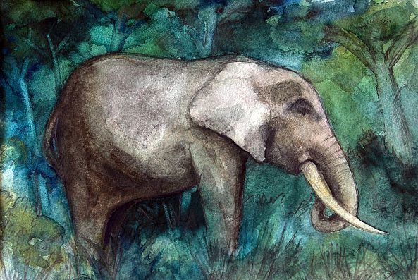 Eléphant - Elephant-Jean Bessat