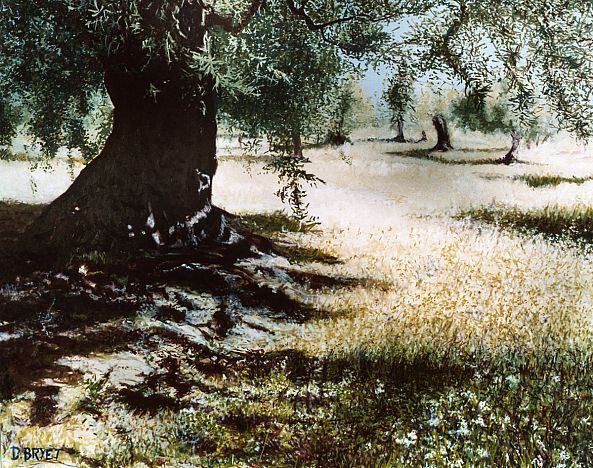 a l'ombre des oliviers-dominique bryet