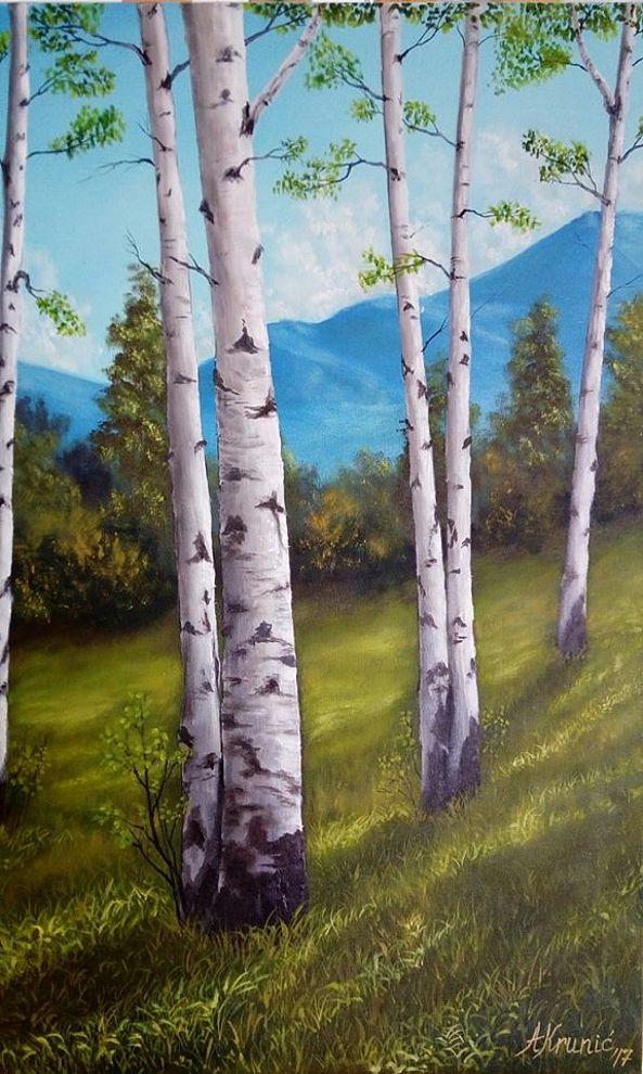 Birch Trees-Aleksandar Krunic