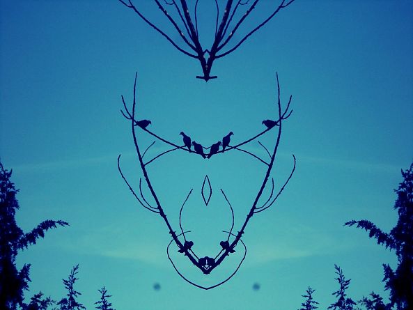 atrapa sueños-Joao Dias