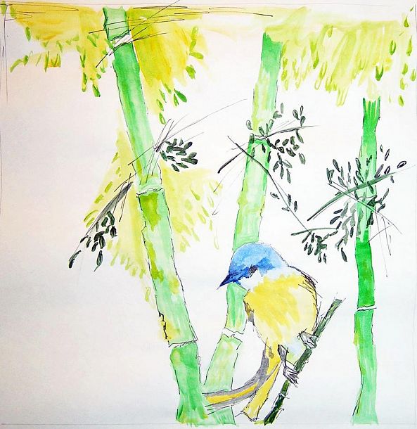bird on bamboo-Marina Bogonikolou