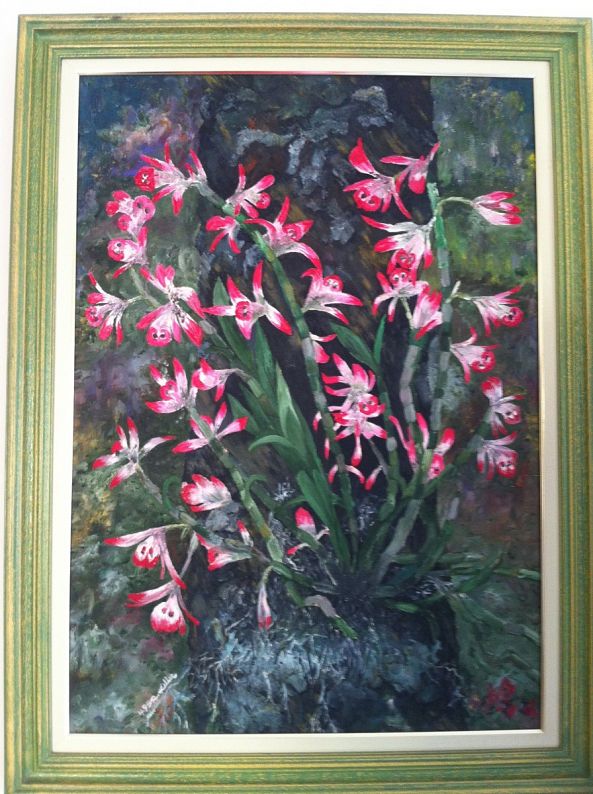 Orchids in their habitat.-Keller Rubens