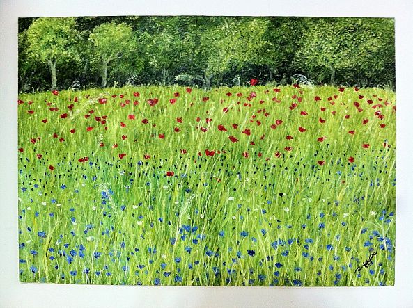 Gardens in Monet's house.-Keller Rubens