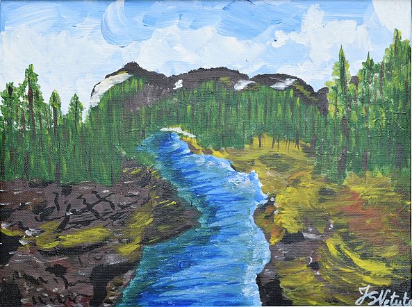 Mountain river-Neluta Staicut