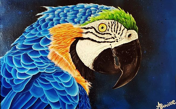 Brazilian Macaw-Achraf  Bouisse 
