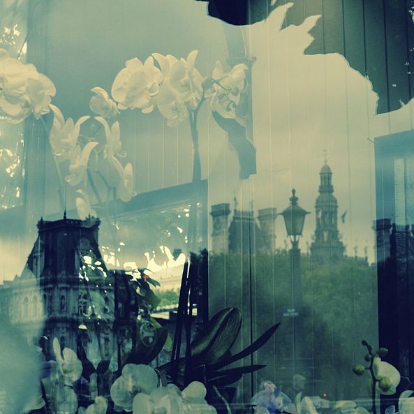 Paris toujours en fleurs -Irena Iris