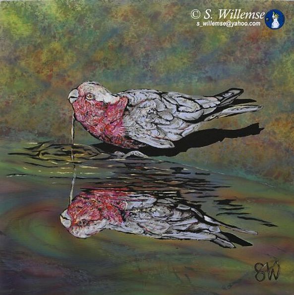 Galah reflection: Precious water-Susan Willemse