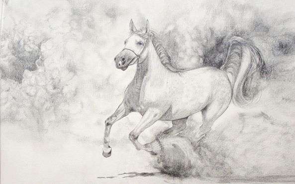 White galloping horse-Xenia Ioannidou