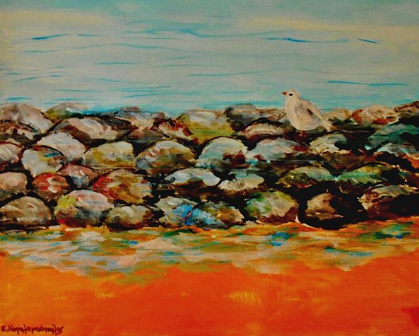 Seagul on stones-Konstantinos Charalampopoulos