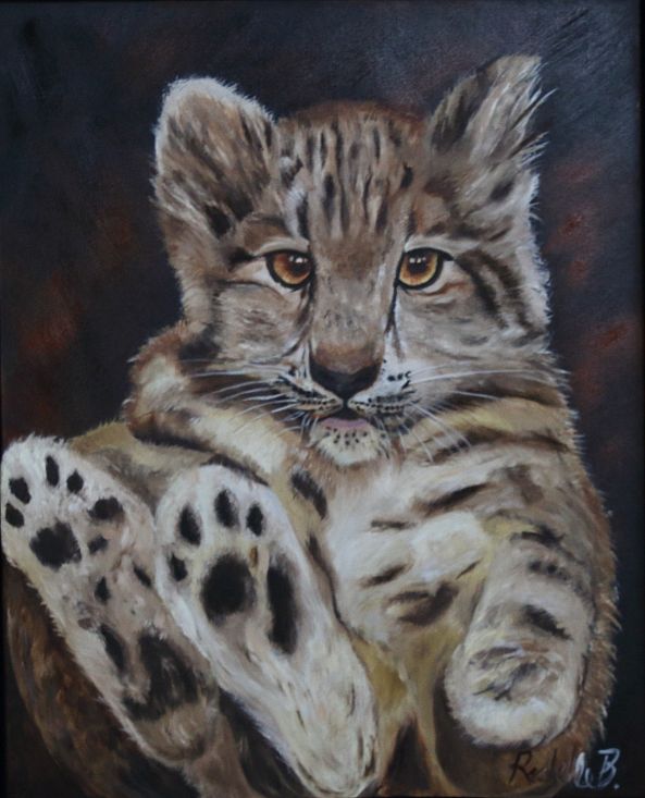 Baby snow leopard-Rachelle Beaudry