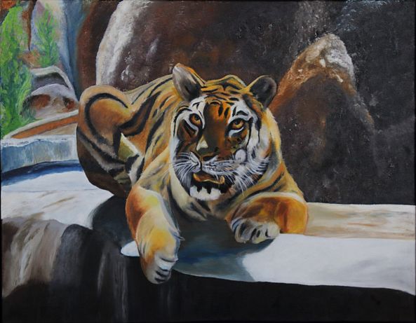 Tiger watching the crowd-Rachelle Beaudry