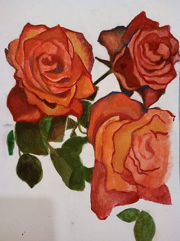 Roses-Richard David Mant