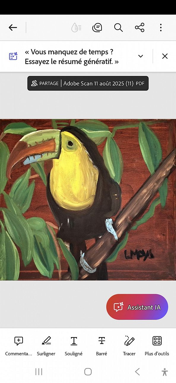 Toucan-Ligia Moya