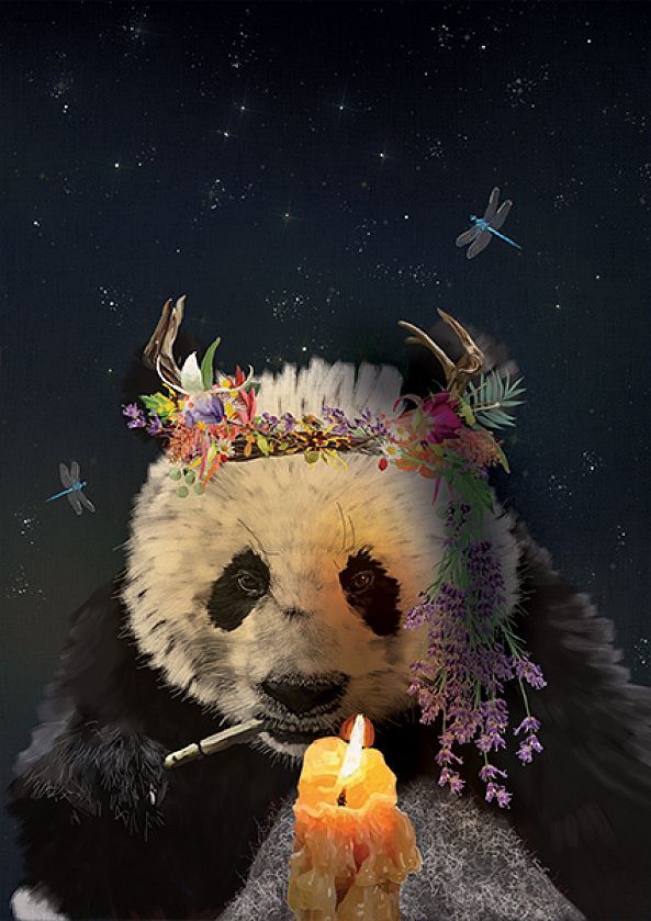 Pondering Panda-Karin Roberts