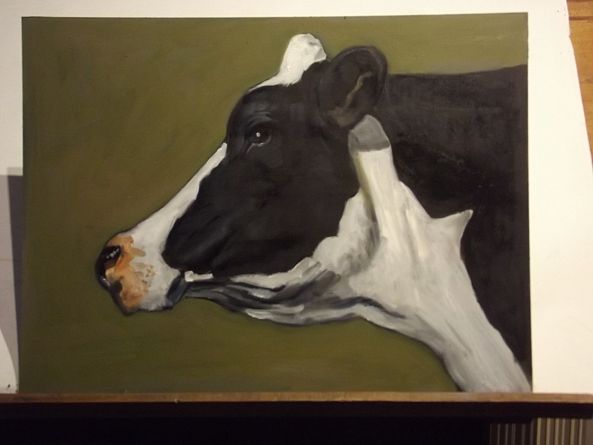 Cow-alejandro ocampo