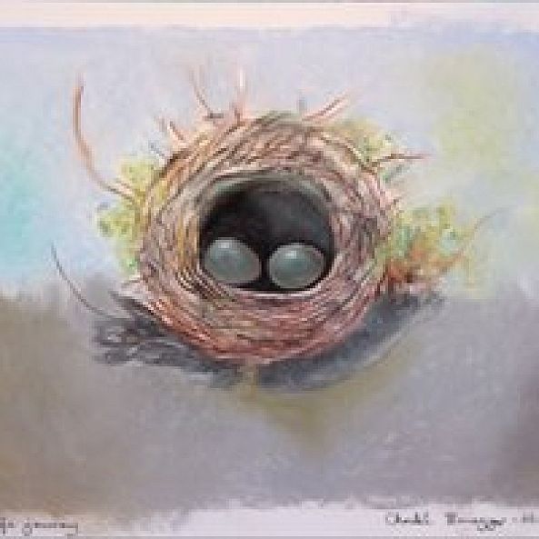 Floating Nest-Cristel Brugger