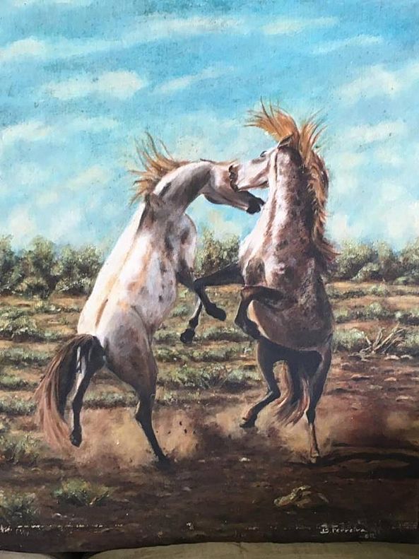 WILD HORSES-Nigel Ferreira