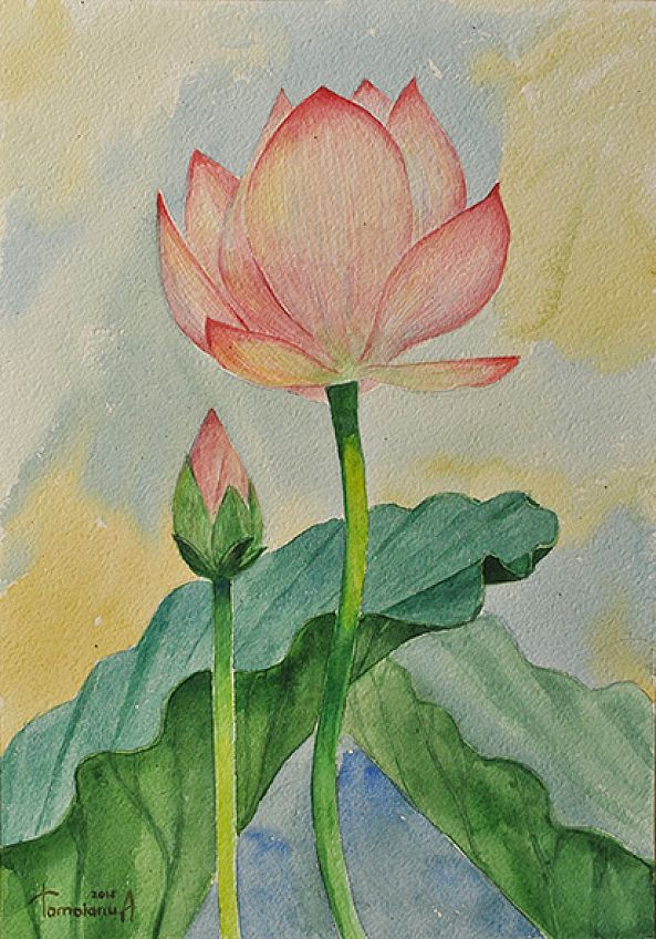 Flower lotus and bud-Anatolii TOMOIANU
