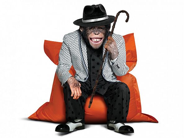 Lucky monkey in jacket and hat set in bean bag-Anatolii TOMOIANU