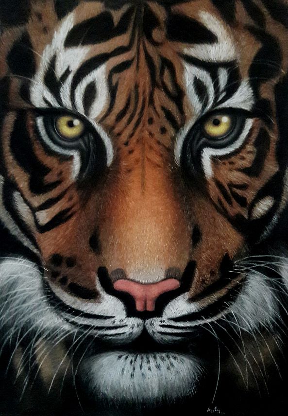 Mode Tigress-Anju Rajan