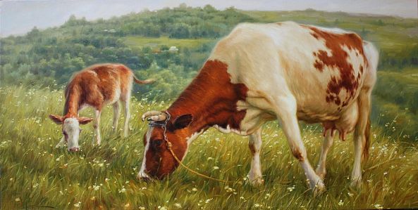 Cow and child- 