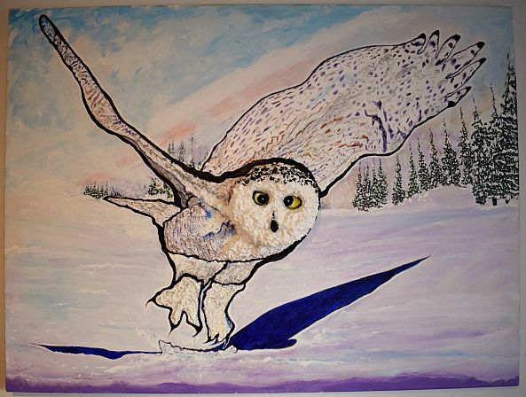 Harfang des Neiges-Denis Roucau