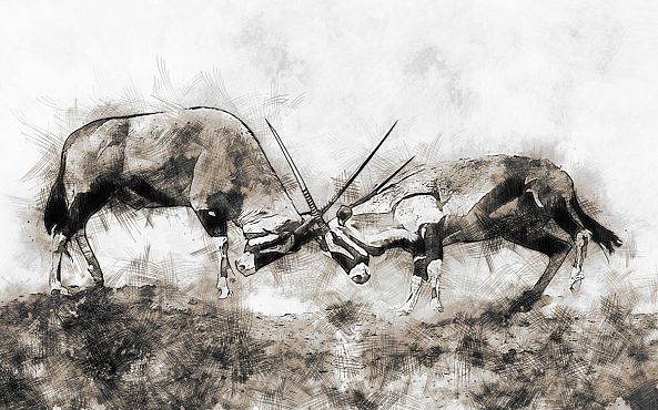 Oryx Fight-Dries Volschenk
