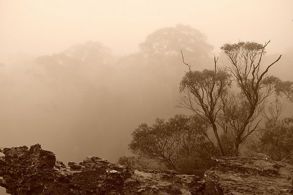 Misty Morning-Greg  Sandoval