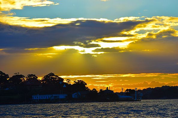 Harbour Serenity-Greg  Sandoval