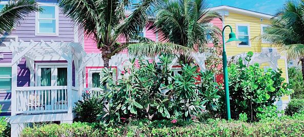 Caribbean Shacks-Greg  Sandoval