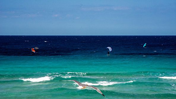 Windsurfing Ibiza-Greg  Sandoval