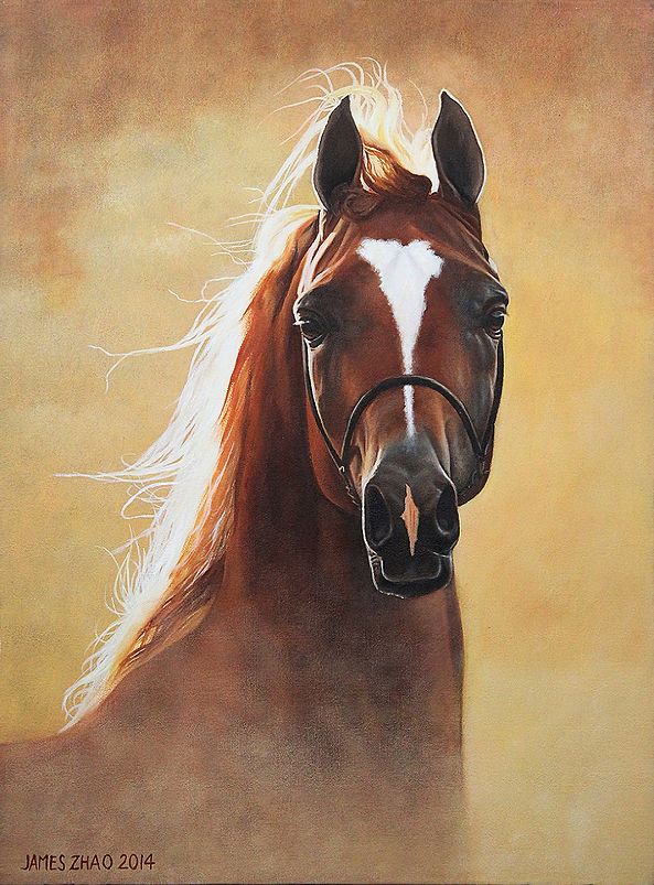 A Beautiful Morning-James Zhao