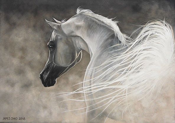 The Angel in White-James Zhao