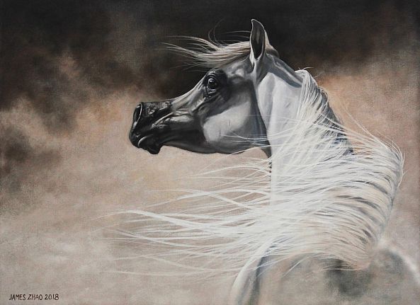 The Desert Lightning-James Zhao