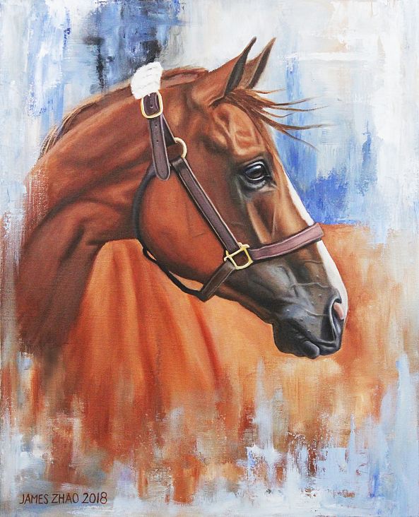 California Chrome-2-James Zhao