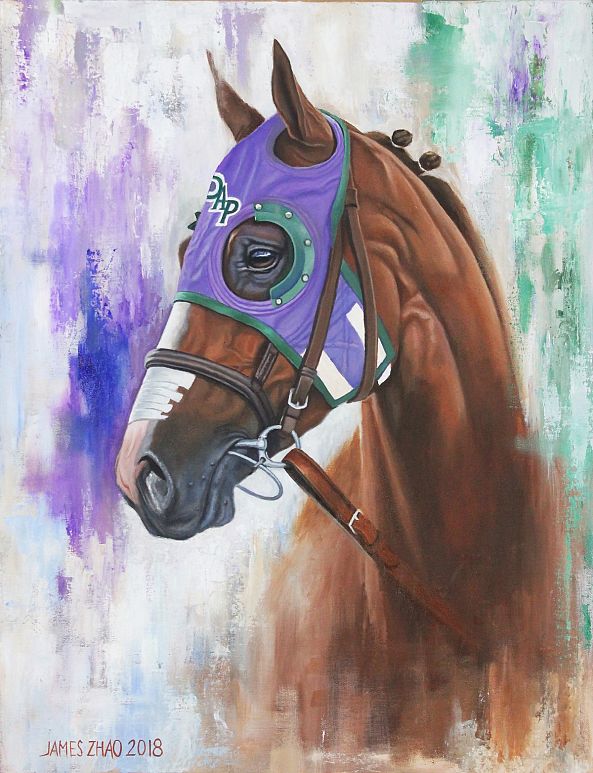 California Chrome-3-James Zhao