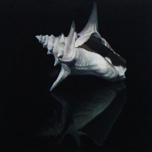 Recall of the Ocean-James Zhao
