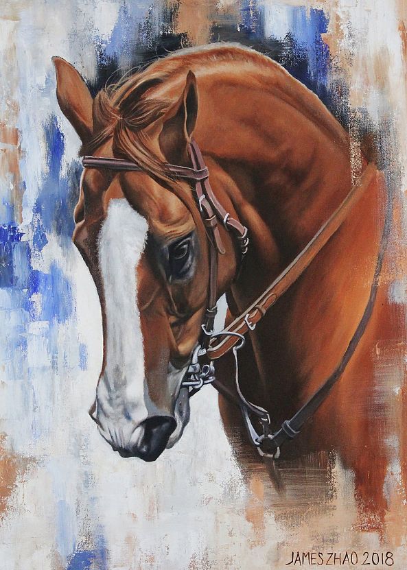 California Chrome-VI-James Zhao