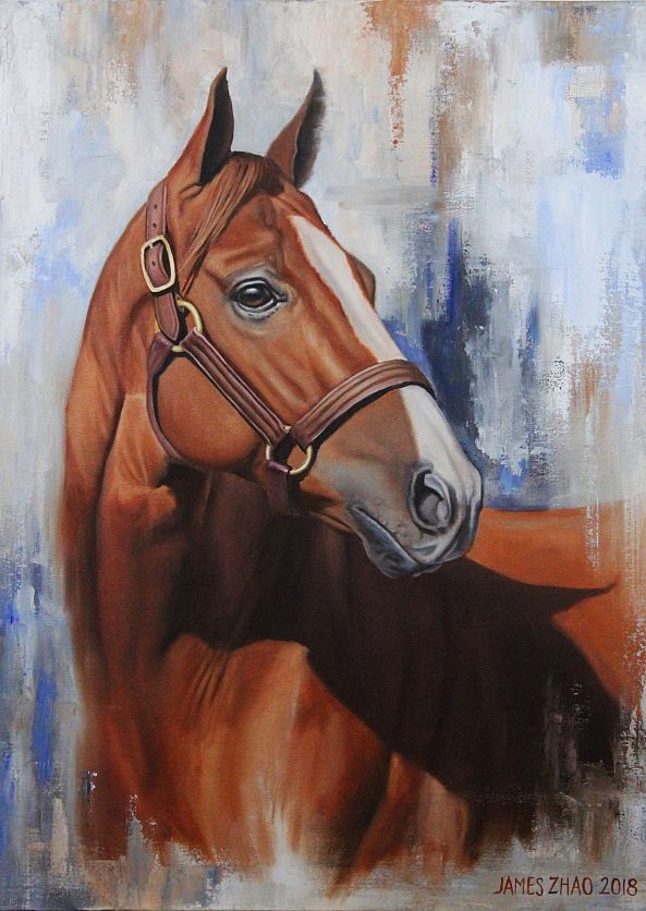 California Chrome-1-James Zhao