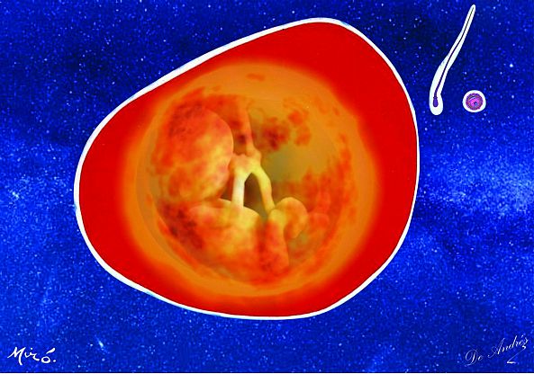 Quantum Energy-Jose De Andres