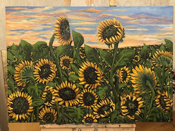 Sunflower field, summer breeze, sunset-Ilaha Ab