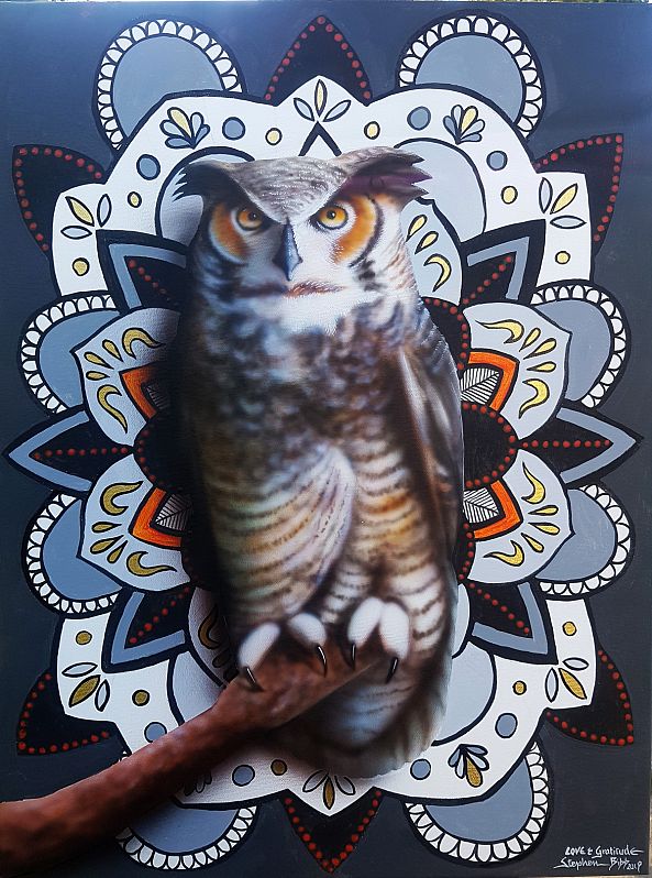 Owl Mandala 2-Stephen Bibb