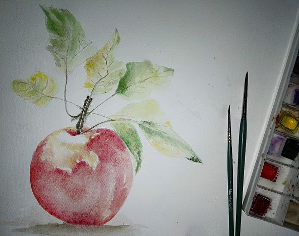 Watercolours-Silviya Nikolova