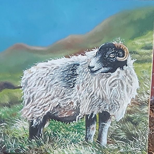 Sheep-James Alexander