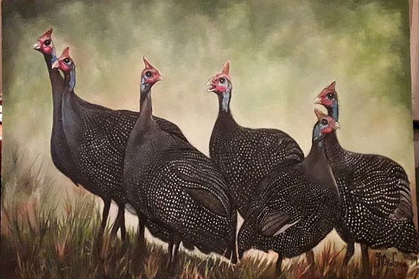 Guinea fowl -jaotto Cronje